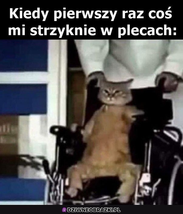 Ten moment Ten moment