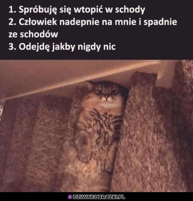 Plan doskonały