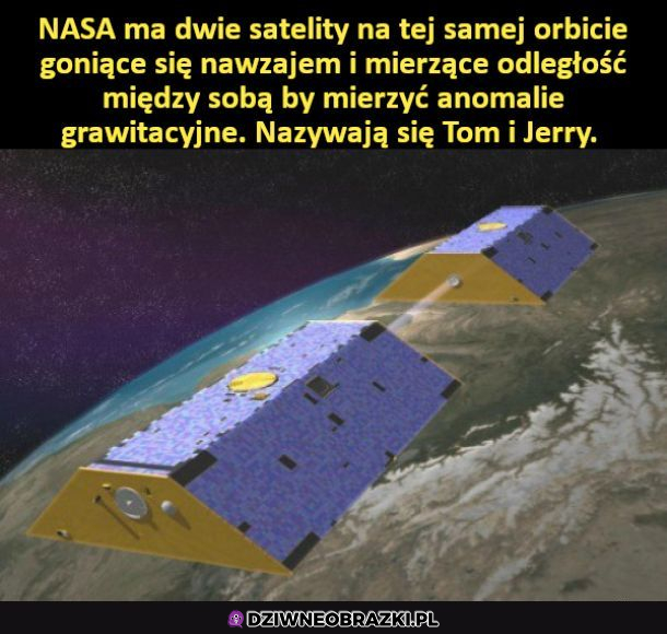 Tom i Jerry
