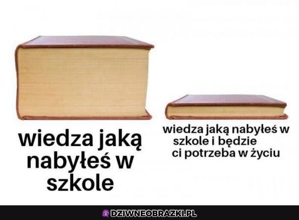 Właśnie tak