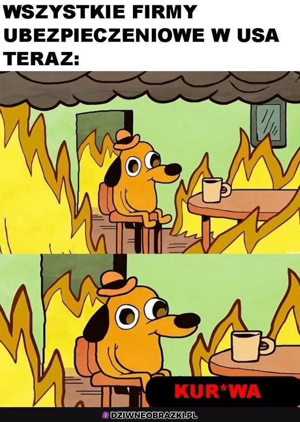 Tymczasem w USA