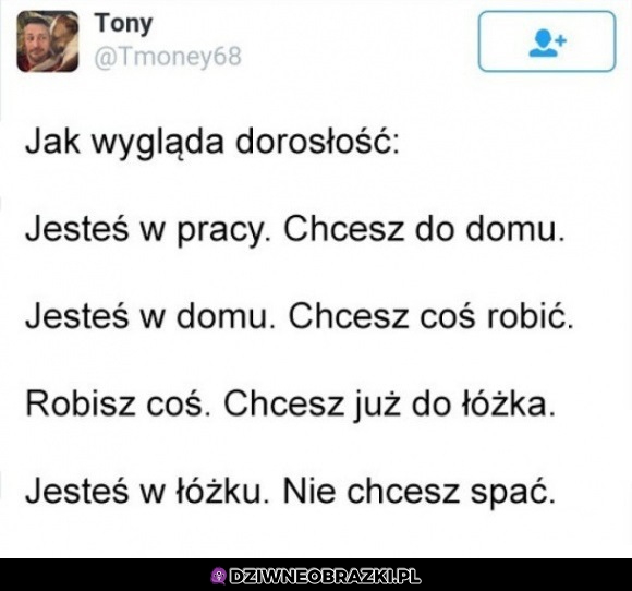 Tak to wygląda