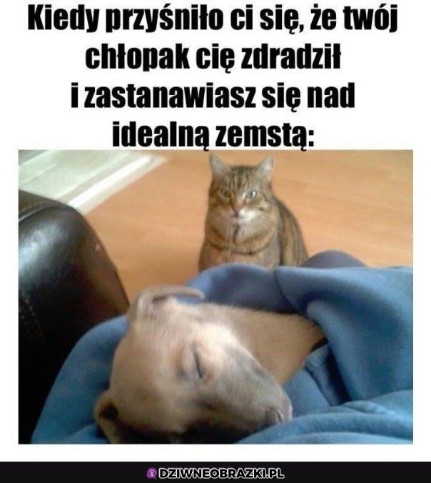 Ten moment