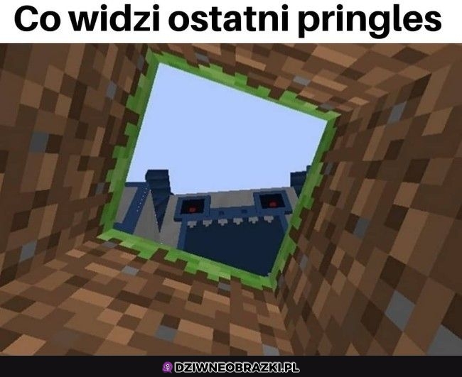 Właśnie to