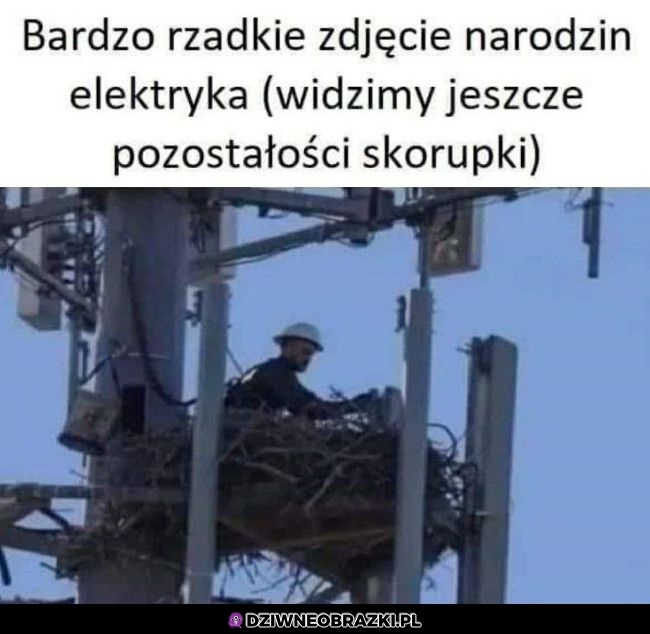 Narodziny elektryka