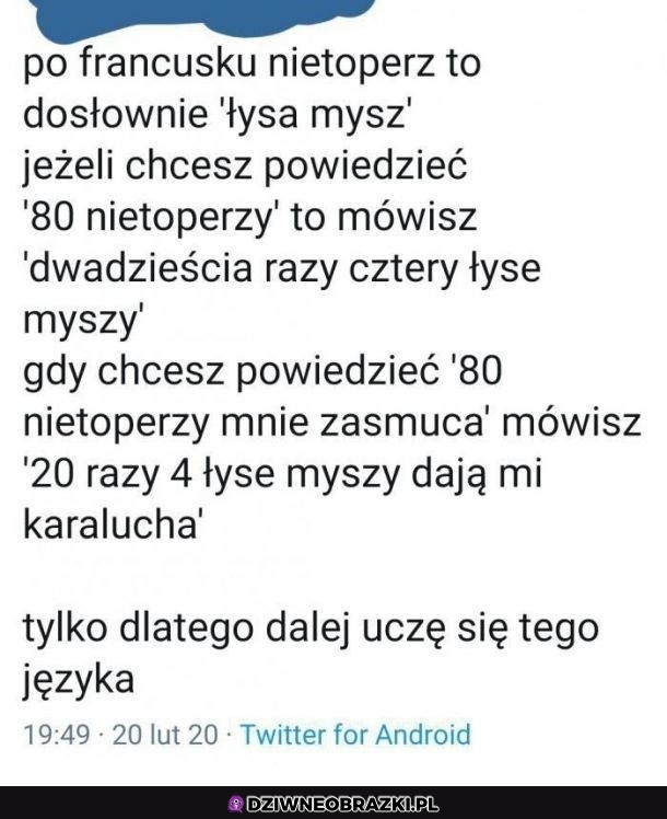 Francuski taki piękny