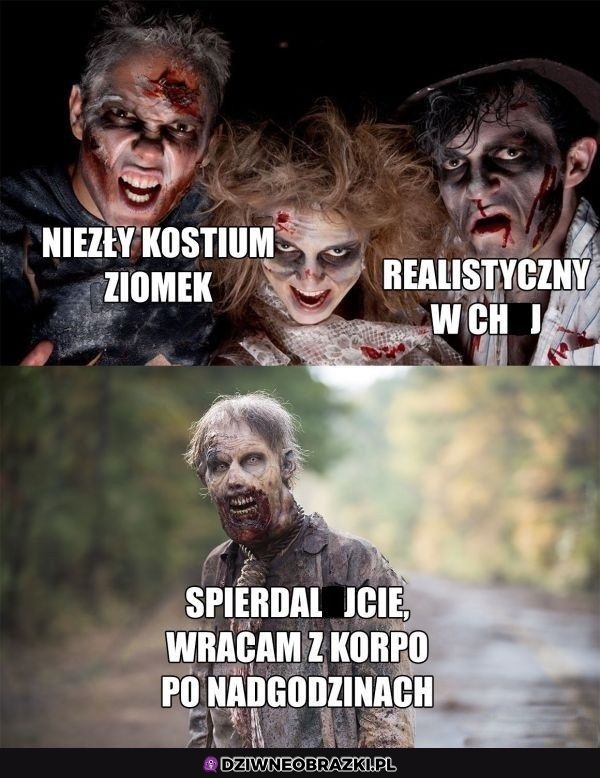 Niezły kostium