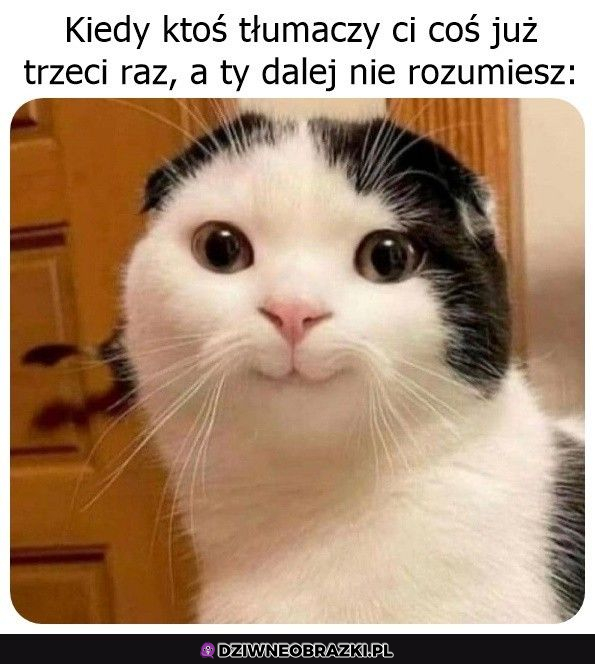 Kiedy dalej nie kumasz