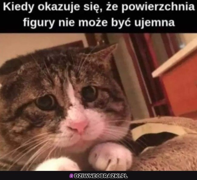 No ale jak to?
