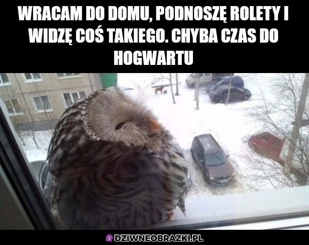 Czas na Hogwart!