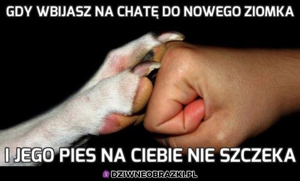 Najlepiej