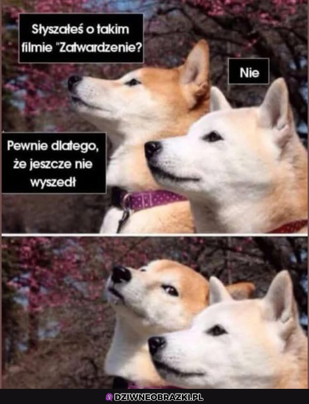 Żarcik