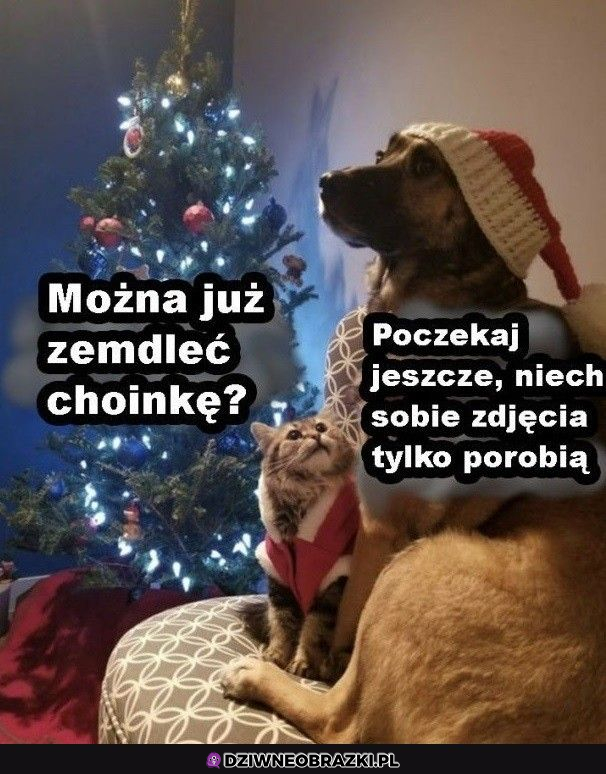 Już można