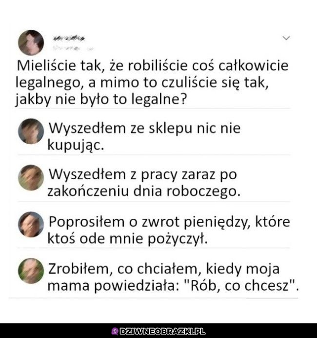 Ostatni to pchał się w gips robiąc to