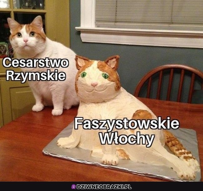 Tak trochę było