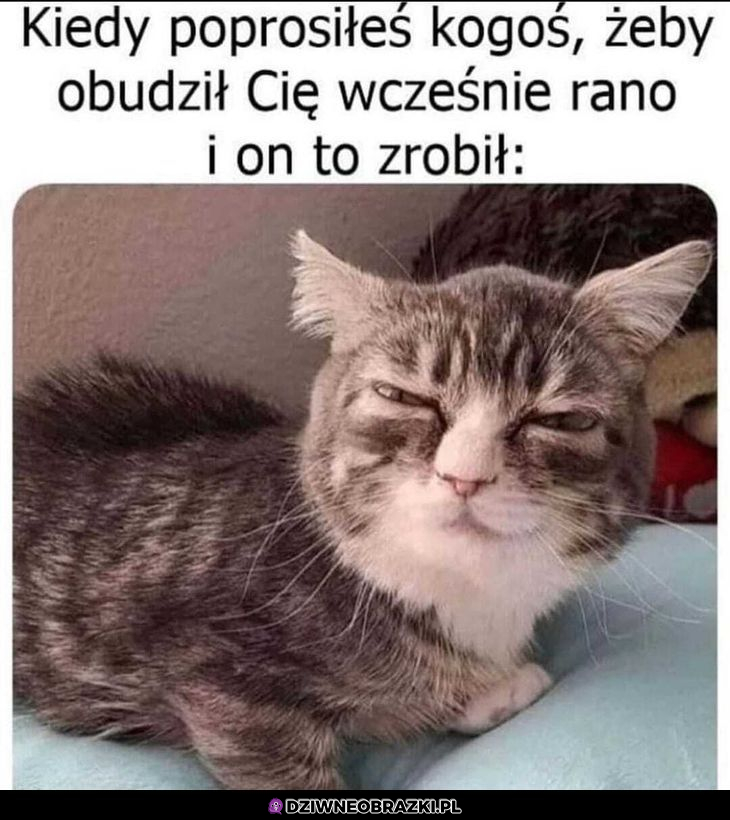 Jak on śmiał