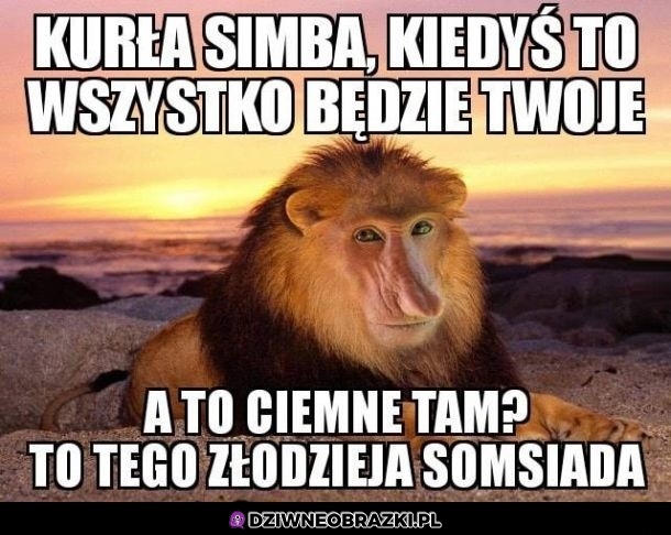 Simbusz
