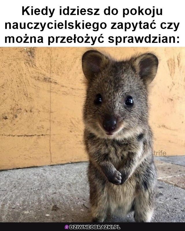 Kiedyś to było