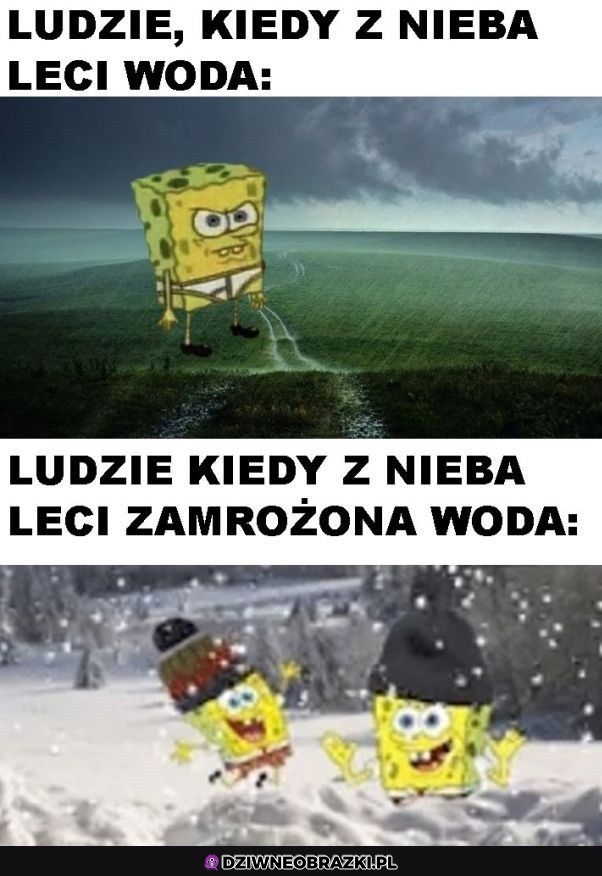 Taka jest jakaś lepsza