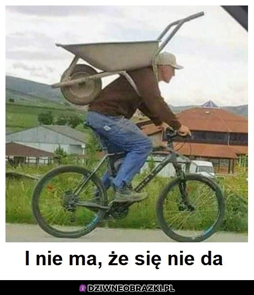 Da sie