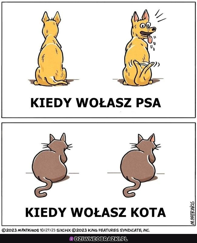 Wołanie pupila