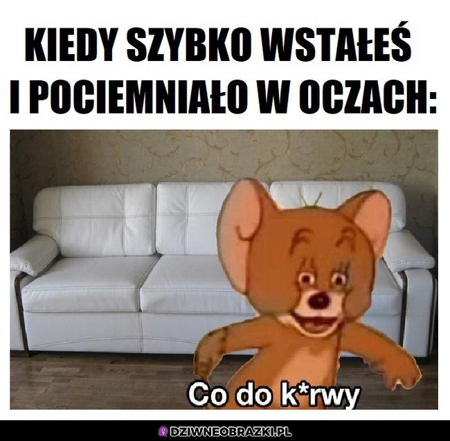 Chwila ciemności