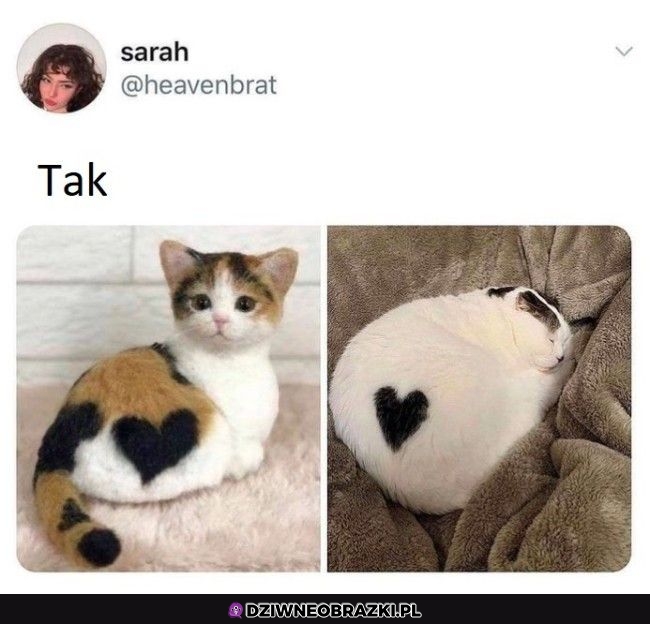 Serduszko