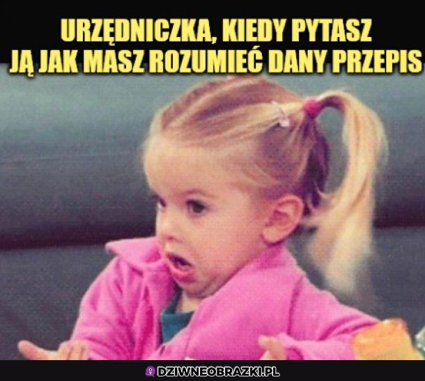 Typowa urzędniczka