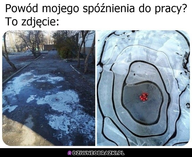 Warto było