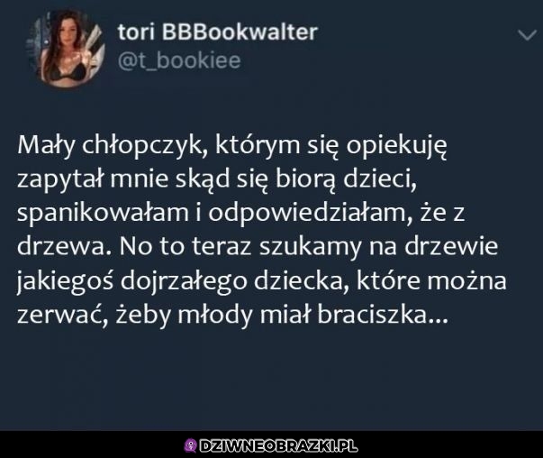 No to się wkopała