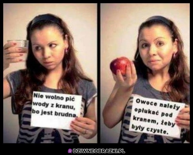 Logika