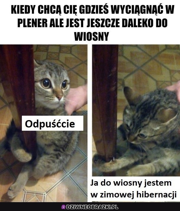 Ale przedwiośnie też spoko