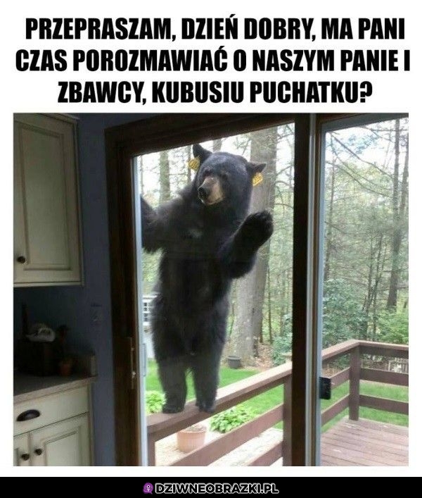 Witam