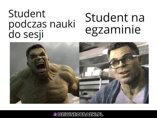 Studenty