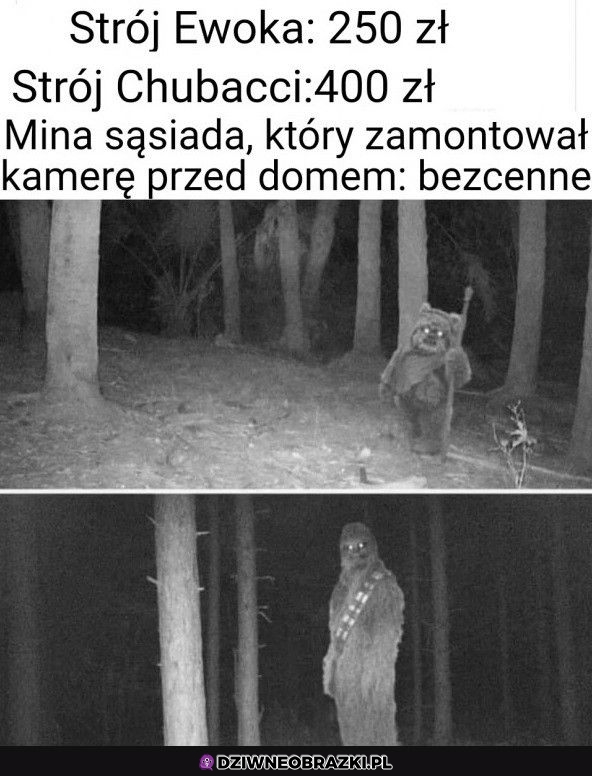 Ciekawe jak zareagował