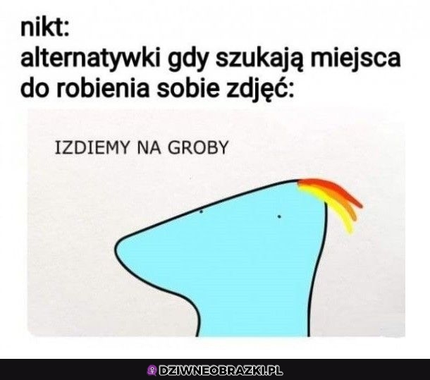 Alternatywki