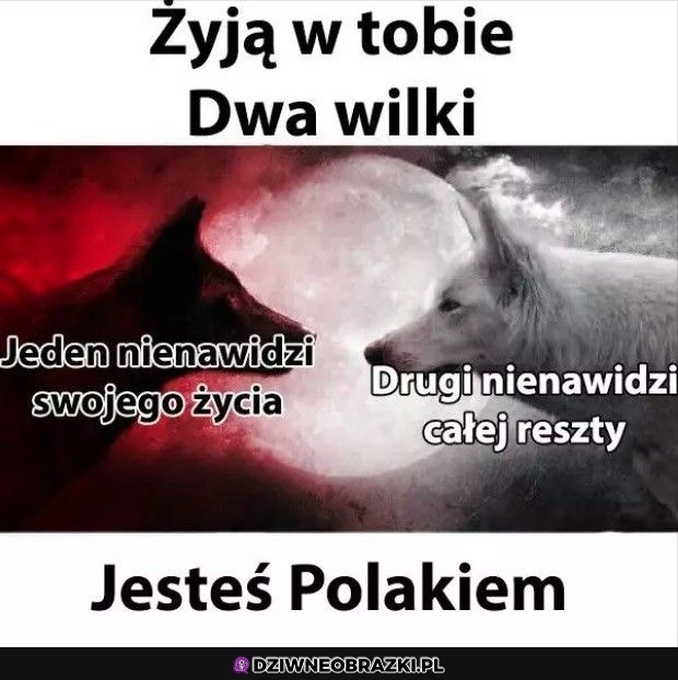 To o nas