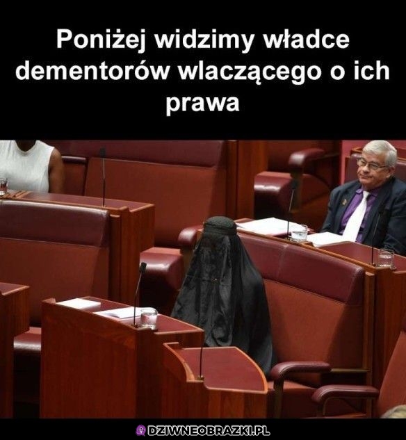 Każdy zasługuje na jakieś prawa