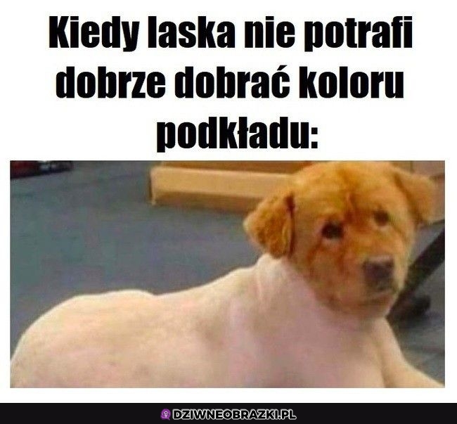 Tak to wygląda wtedy