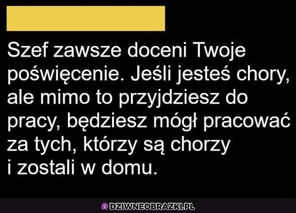 Właśnie tak doceni