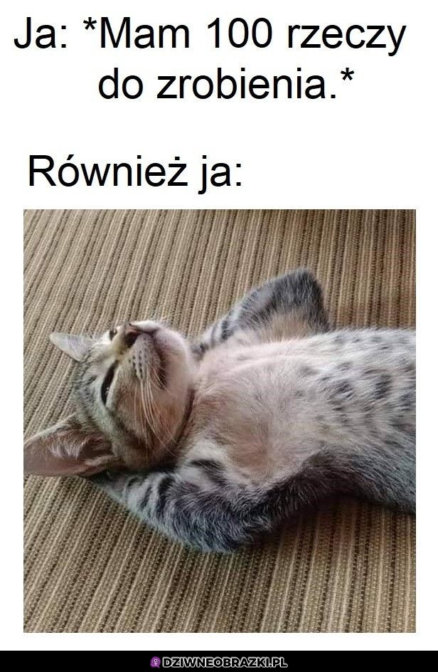 To ja