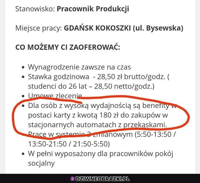 Gdzie można złożyć cv? :P 