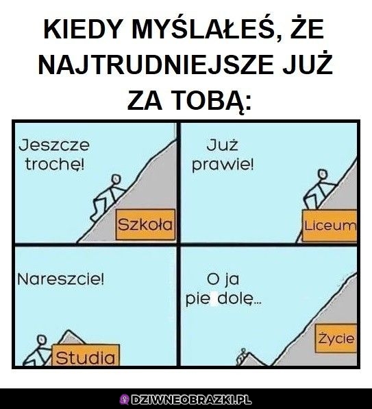 Tak to wygląda