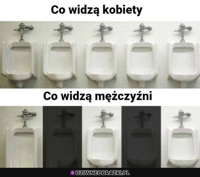 Tak to widzimy