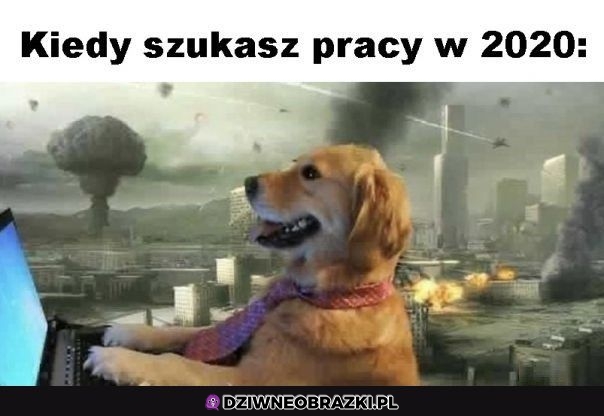 Tak to wygląda