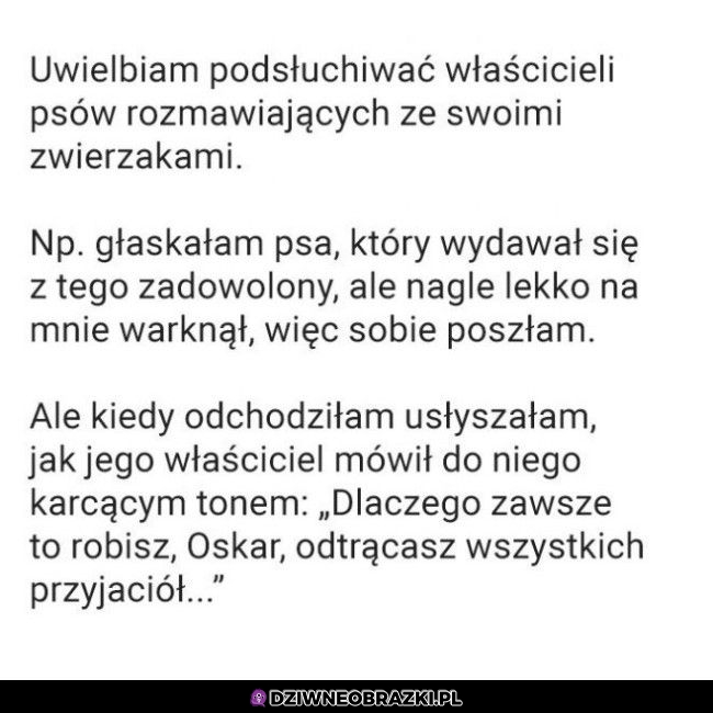 Dlaczego taki jest