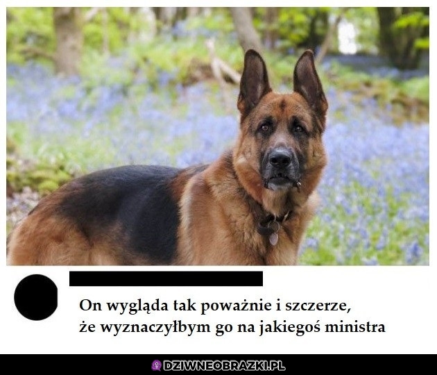 Zasługuje na to