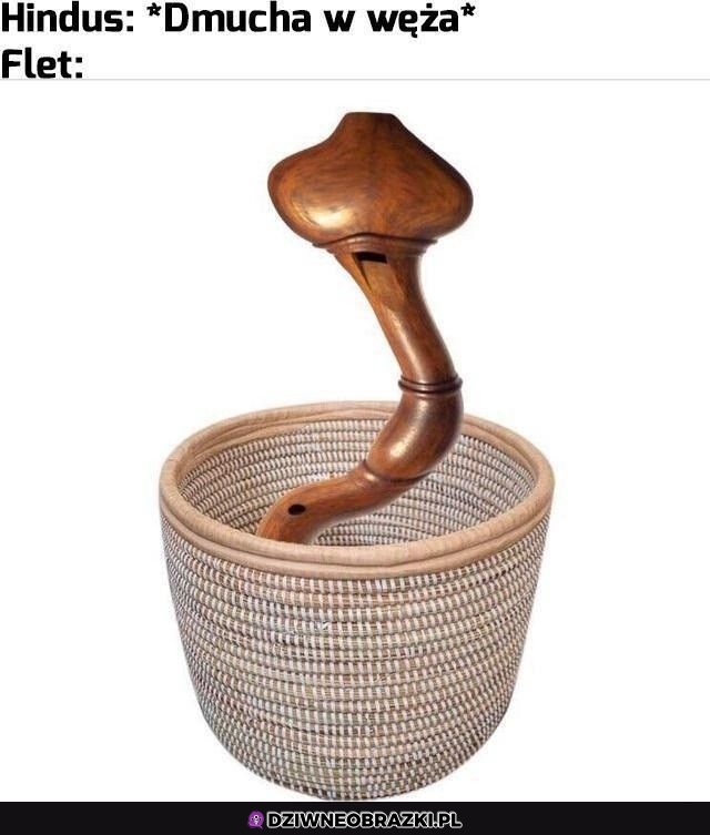 Kiedy dmuchniesz w węża