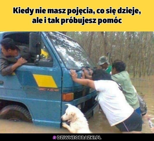 Pomaganie
