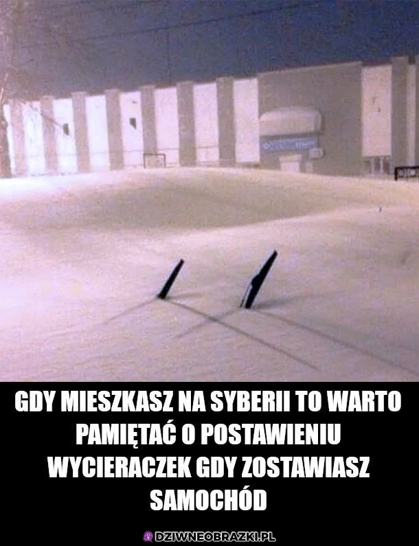 Na pewno mu pomogło